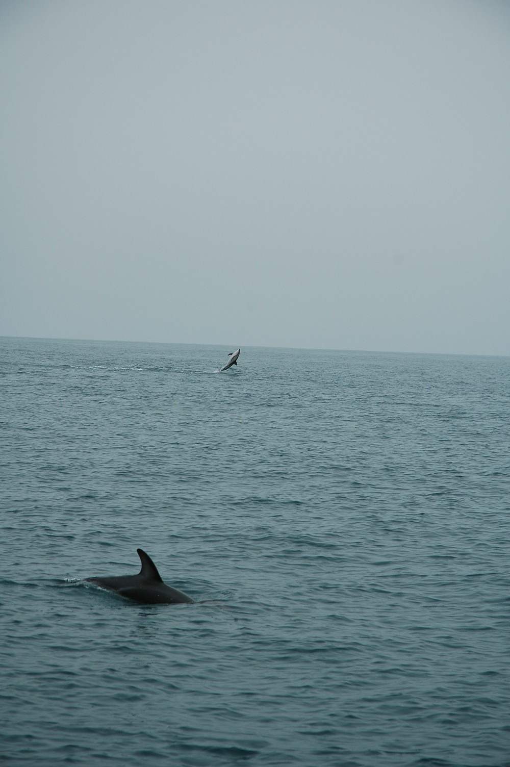 218   30 01   Kaikoura